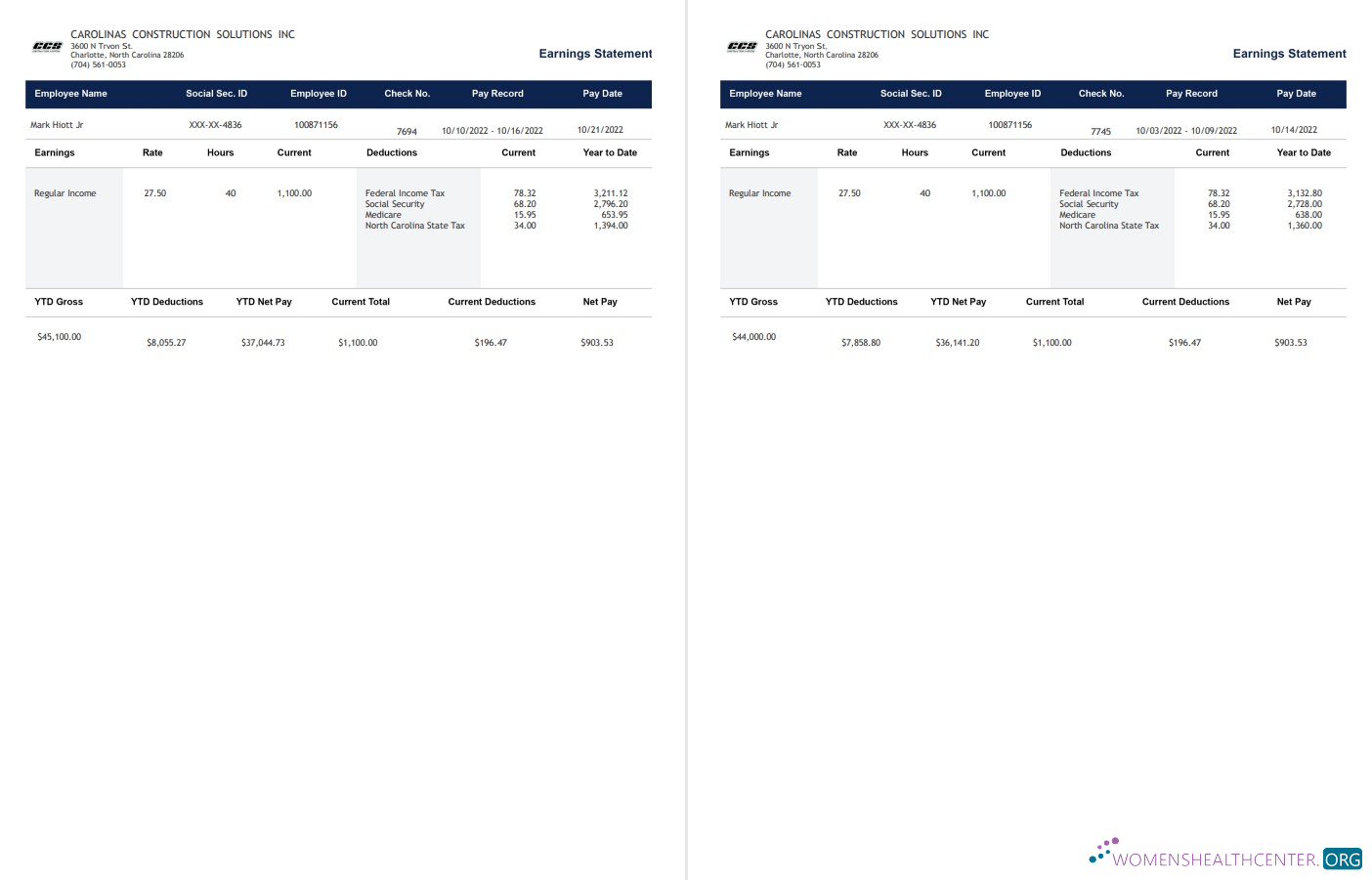 Download Carolinas Construction Solutions Paystub Photoshop template
